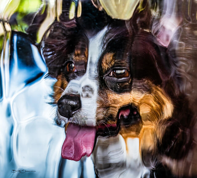 Lexi Looking Glass print