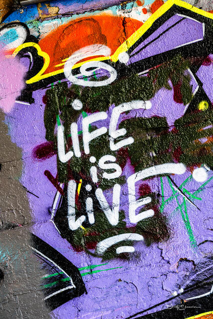 Life print
