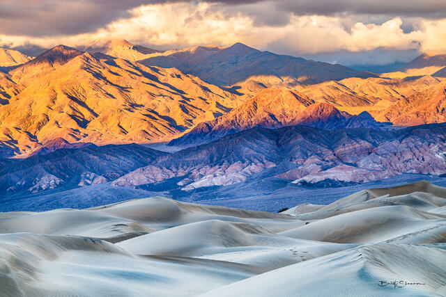 Mesquite Dunes print