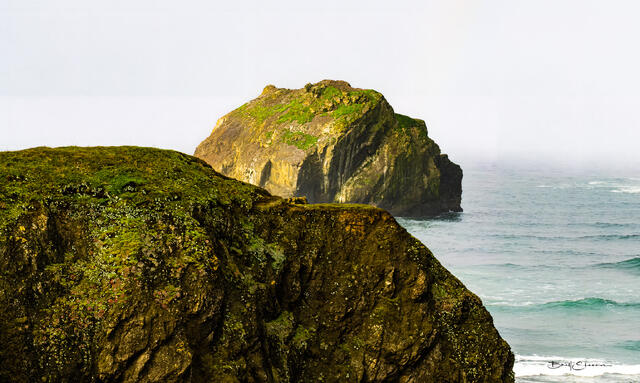 Oregon Coast print